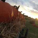 Sand Springs Pumpkin Patch Festival photo