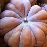 Sand Springs Pumpkin Patch Festival photo