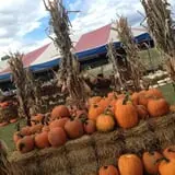 Sand Springs Pumpkin Patch Festival photo