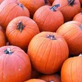 Sand Springs Pumpkin Patch Festival photo