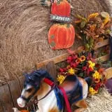 Sand Springs Pumpkin Patch Festival photo