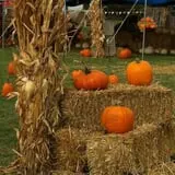 Sand Springs Pumpkin Patch Festival photo