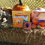 Sand Springs Pumpkin Patch Festival photo