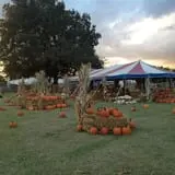 Sand Springs Pumpkin Patch Festival photo