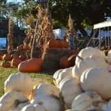 Sand Springs Pumpkin Patch Festival photo