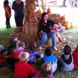 Sand Springs Pumpkin Patch Festival photo