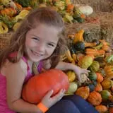 Sand Springs Pumpkin Patch Festival photo