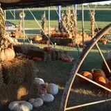 Sand Springs Pumpkin Patch Festival photo