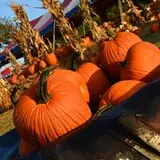 Sand Springs Pumpkin Patch Festival photo