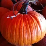 Sand Springs Pumpkin Patch Festival photo