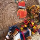 Sand Springs Pumpkin Patch Festival photo