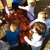 Sand Springs Pumpkin Patch Festival photo