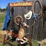 Sand Springs Pumpkin Patch Festival photo