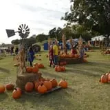 Sand Springs Pumpkin Patch Festival photo