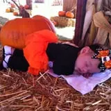 Sand Springs Pumpkin Patch Festival photo