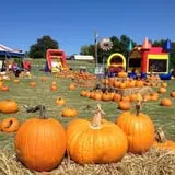 Sand Springs Pumpkin Patch Festival photo