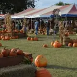 Sand Springs Pumpkin Patch Festival photo