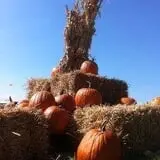 Sand Springs Pumpkin Patch Festival photo