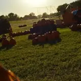 Sand Springs Pumpkin Patch Festival photo