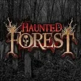 Haunted Hallow photo