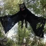 Haunted Hallow photo