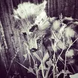 Haunted Hallow photo
