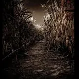 Haunted Hallow photo