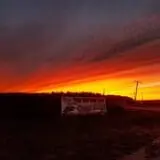 Lewin Farms Hay Rides & Corn Maze photo