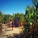 Lewin Farms Hay Rides & Corn Maze photo