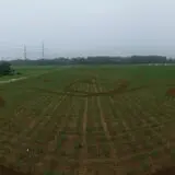 Lewin Farms Hay Rides & Corn Maze photo