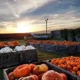 Lewin Farms Hay Rides & Corn Maze photo