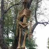Haunted Mini Golf at Hopewell Windmill photo