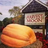 Harvest Moon Farm and Orchard photo