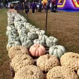 Harvest Moon Farm and Orchard photo