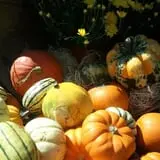 Harvest Moon Farm and Orchard photo