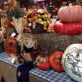 Harvest Moon Farm and Orchard photo