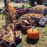 Harvest Moon Farm and Orchard photo