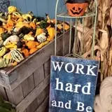 Harvest Moon Farm and Orchard photo