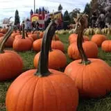 Harvest Moon Farm and Orchard photo