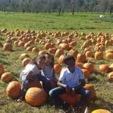 Harvest Moon Farm and Orchard photo