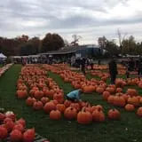 Harvest Moon Farm and Orchard photo