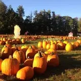 Harvest Moon Farm and Orchard photo