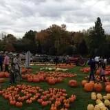 Harvest Moon Farm and Orchard photo