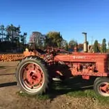 Harvest Moon Farm and Orchard photo