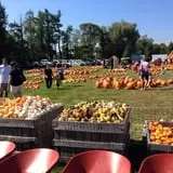 Harvest Moon Farm and Orchard photo