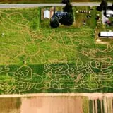 The Great Adirondack Corn Maze - Tucker Farms photo
