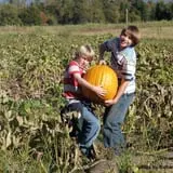 The Great Adirondack Corn Maze - Tucker Farms photo