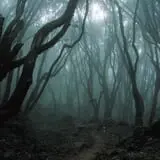 The Hill Has Eyes photo