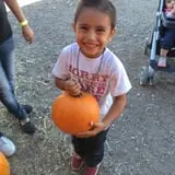 Burley Straw Maze & Pumpkin Patch photo