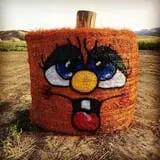 Burley Straw Maze & Pumpkin Patch photo